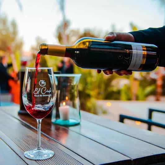 Valle De Guadalupe: The Cielo Wine Terrace Tasting Experience - Tasting Highlights