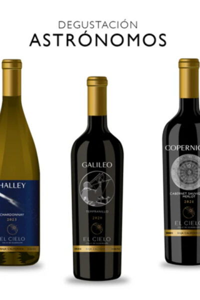 Valle De Guadalupe: The Cielo Wine Terrace Tasting Experience - Important Details and Considerations
