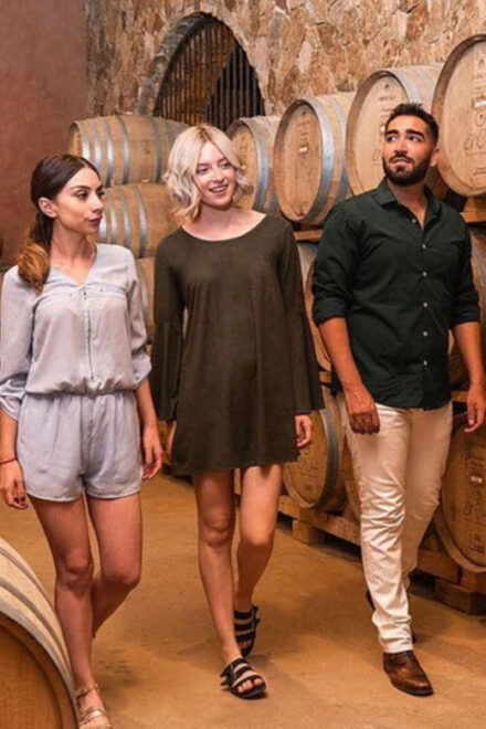 Valle De Guadalupe: The Cielo Winery Experience With Tastings - Wine Selection