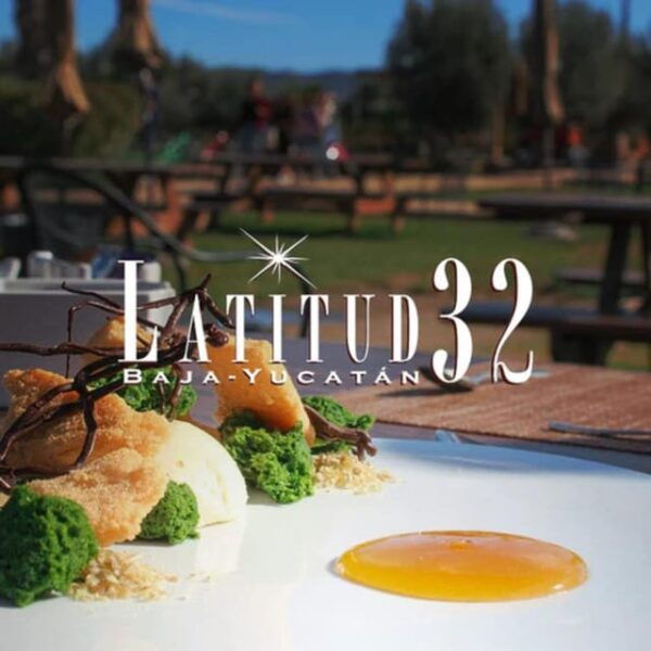 Valle De Guadalupe: The Cielo Winery Experience With Tastings - Meeting the Harris Eaglets