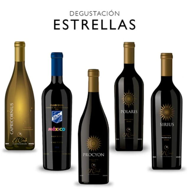 Valle De Guadalupe: Vineyard Golf Cart Tour & Wine Tasting - Good To Know