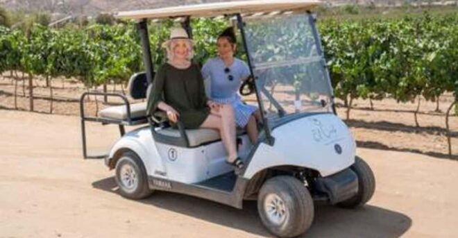 Valle De Guadalupe: Vineyard Golf Cart Tour & Wine Tasting - Exclusions