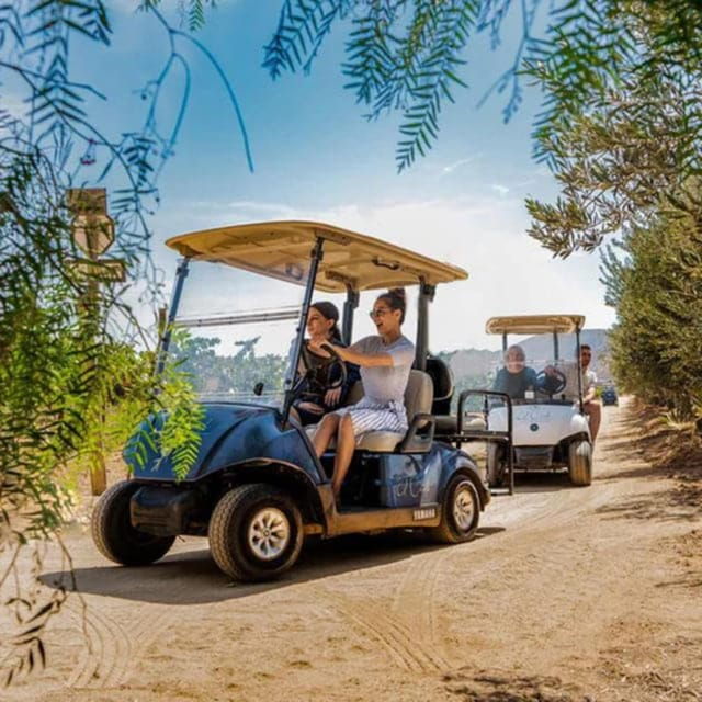 Valle De Guadalupe: Vineyard Golf Cart Tour & Wine Tasting - Booking Options
