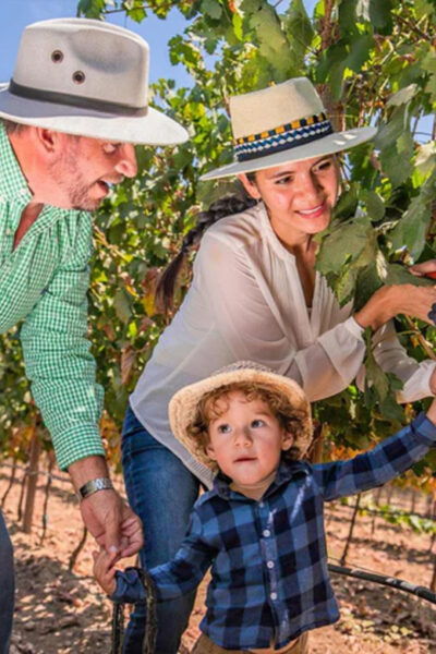 Valle De Guadalupe: Vineyard Golf Cart Tour & Wine Tasting - Vine Lifecycle and Winemaking