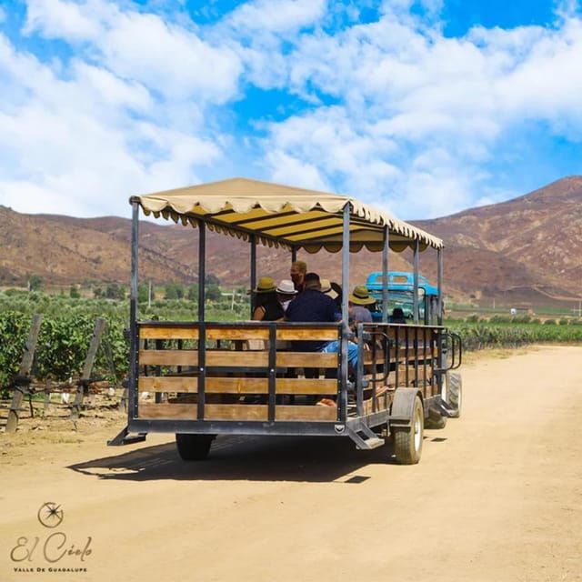Valle De Guadalupe: Vineyard Tour and Wine Tasting in Cart - Picturesque Vineyards