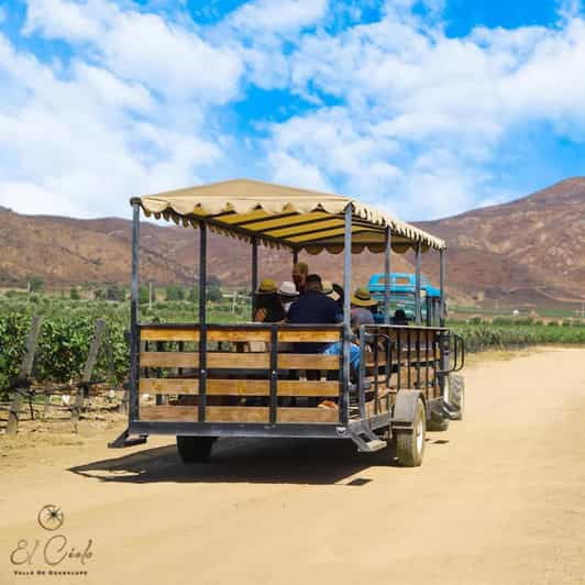 Valle De Guadalupe: Vineyard Tour and Wine Tasting in Cart - Serene Vineyard Setting