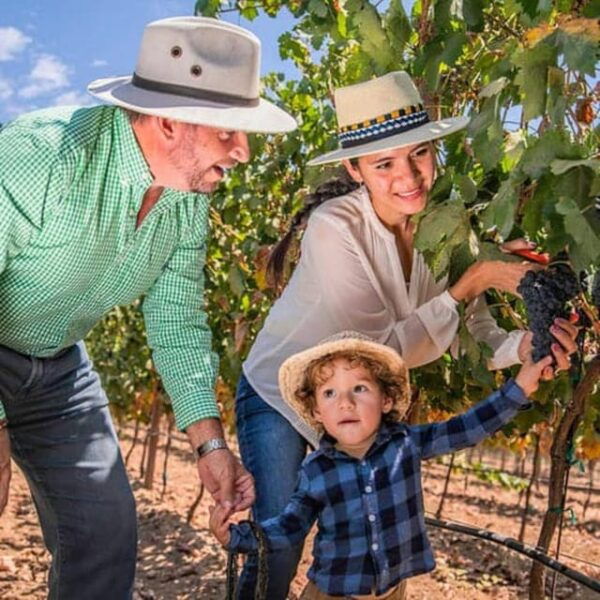 Valle De Guadalupe: Vineyard Tour and Wine Tasting in Cart - Memories With Loved Ones