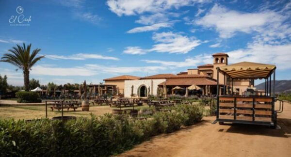 Valle De Guadalupe: Vineyard Tour and Wine Tasting in Cart - Frequently Asked Questions