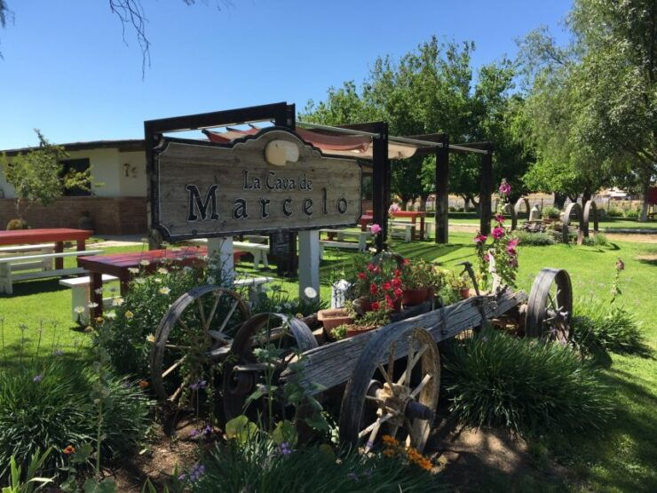 Valle De Guadalupe: Wine & Cheese Tour - Experience Highlights