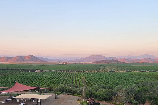 Valle de Guadalupe Wine Experience: Wine Tastings Included - Exploring the Valle de Guadalupe Wine Experience: A Detailed Look