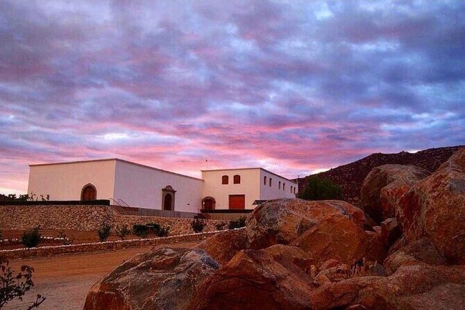 Valle de Guadalupe Wine Experience: Wine Tastings Included - FAQs