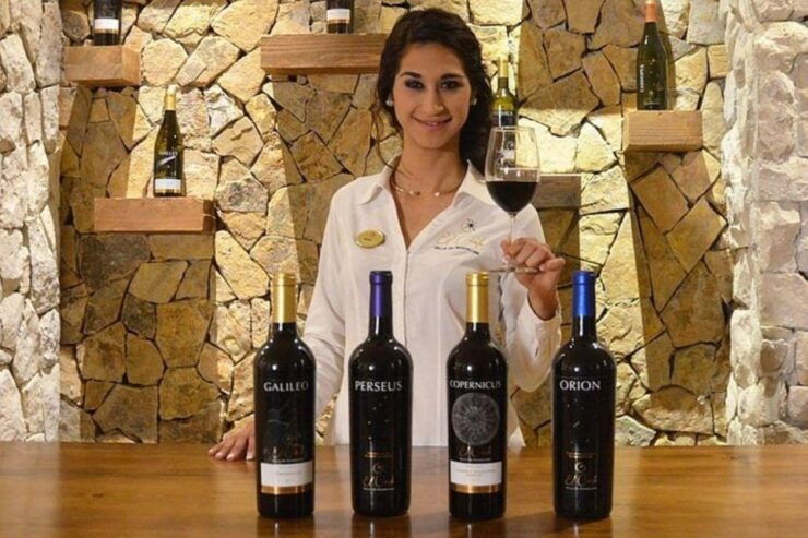 Valle De Guadalupe: Wine Tasting and Carriage Tour - Activity Details