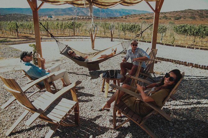 Valle De Guadalupe Wine Tasting - Overview of Valle De Guadalupe