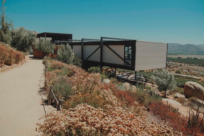 Valle De Guadalupe Wine Tasting - Traveler Photos
