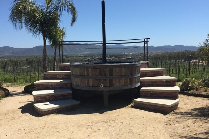 Valle De Guadalupe Wine Tasting - The Sum Up