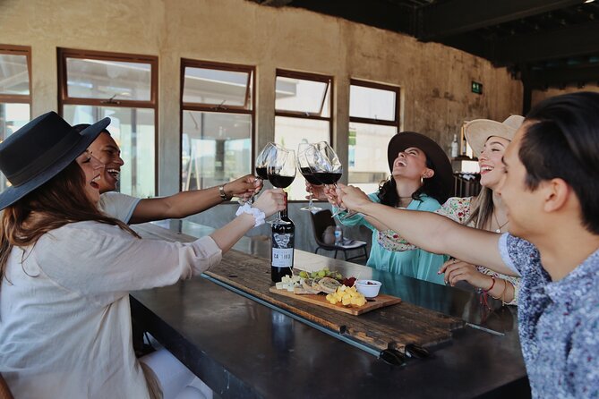 Valle De Guadalupe Wine Tasting Tour  - Ensenada - Tour Details