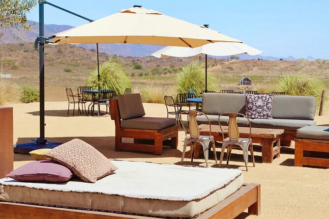 Valle De Guadalupe Wine Tasting Tour  - Ensenada - Reviews