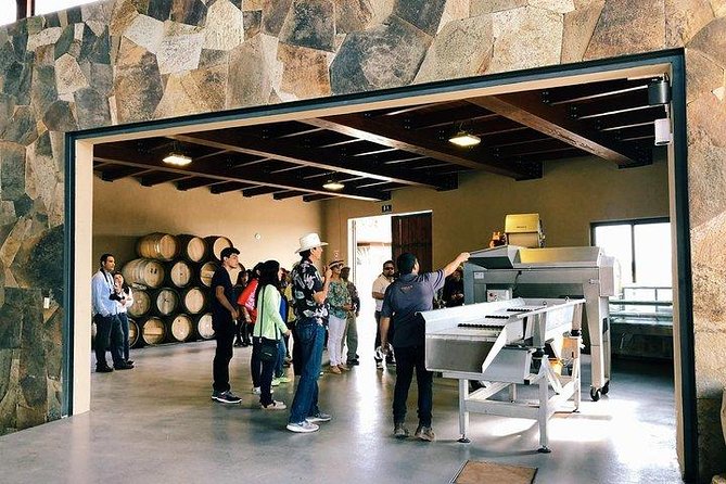 Valle De Guadalupe Wine Tasting Tour  - Ensenada - Pricing and Additional Information
