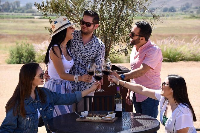 Valle De Guadalupe Wine Tasting Tour  - Ensenada - Background