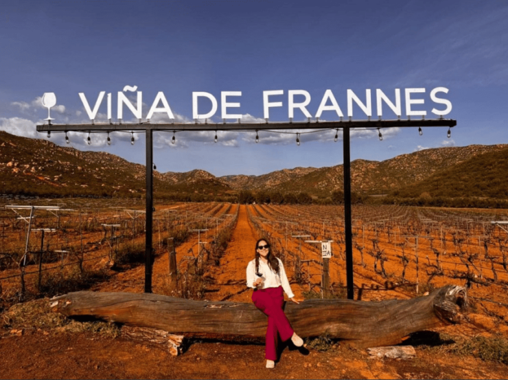 Valle De Guadalupe: Winery Tour With Tastings - Good To Know