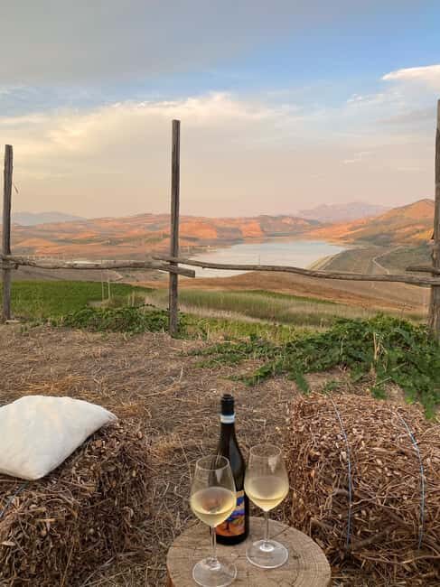 Valle del Belice: Informal and authentic tasting of artisan wines - Exploring the Valle del Belice Wine Tasting Tour