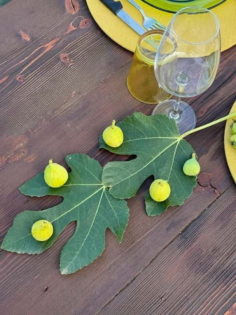 Valle DItria: Oil & Wine Tasting with Aperitivo Pugliese - FAQ