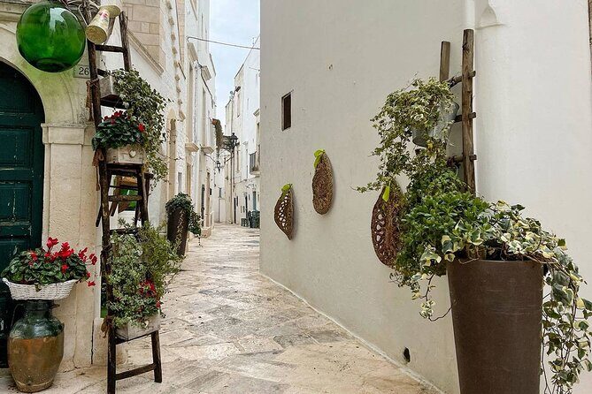 Valle d'Itria Tour: Polignano, Ostuni e Locorotondo, da Bari - Who Should Book This Tour?