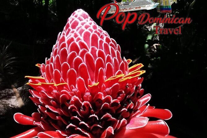 Valle Taino Tropical Park and plantation in Puerto Plata - Relax at Playa Local