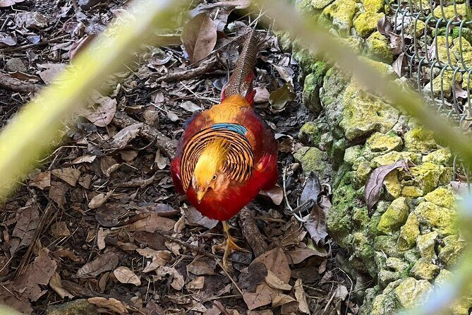 Valle Taino Tropical Park and plantation in Puerto Plata - The Plantation Experience: Tasting and Learning