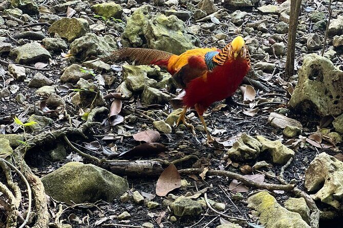 Valle Taino Tropical Park and plantation in Puerto Plata - FAQs