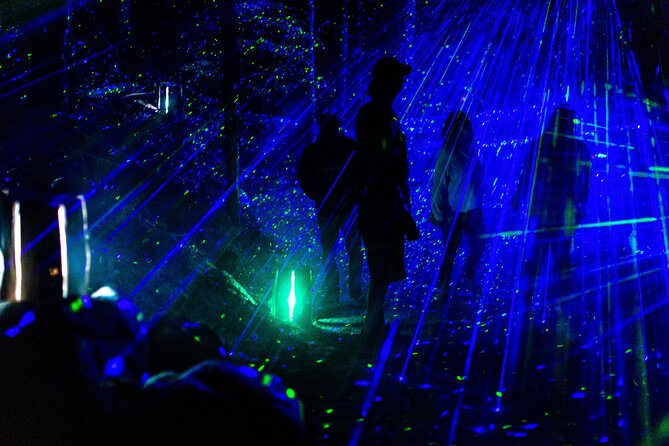 Vallea Lumina Multimedia Experience - Common Questions