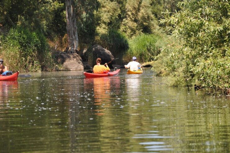 Valledoria: Coghinas River Kayak Rental - Activity Details