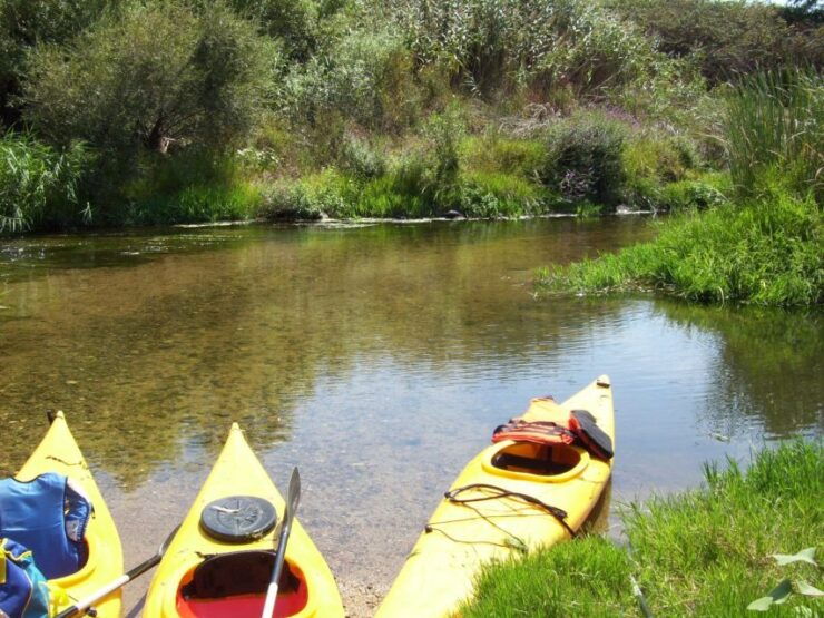 Valledoria: Coghinas River Kayak Rental - Booking Information