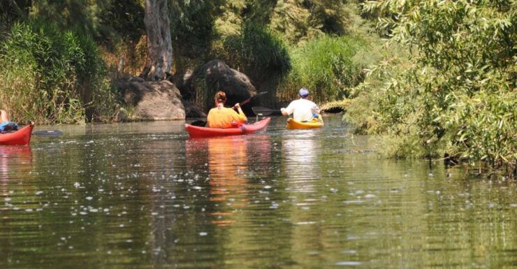 Valledoria: Coghinas River Kayak Rental - Booking Details