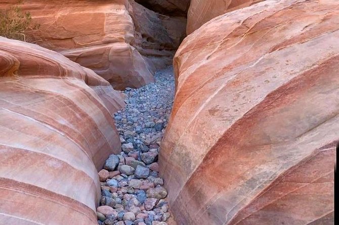 Valley of Fire and Lost City Museum Small Group Tour From Las Vegas - Positive Reviews About the Tour Guide