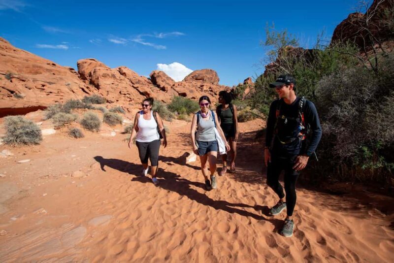 Valley of Fire Guided Hiking Tour & Mojave Desert Adventure - FAQs