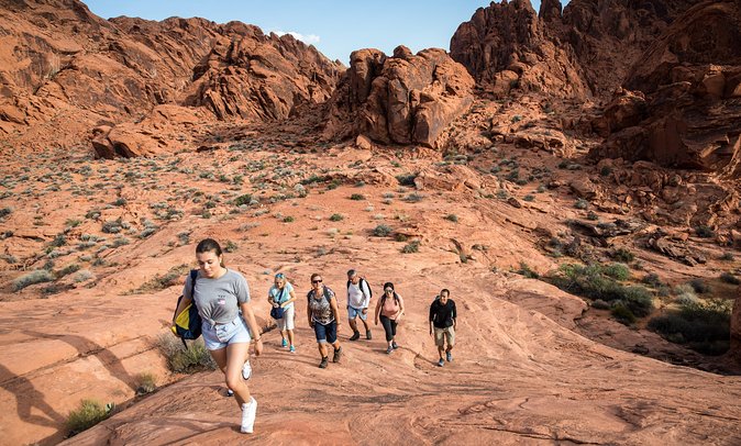 Valley of Fire Hiking Tour From Las Vegas - Pricing and Booking