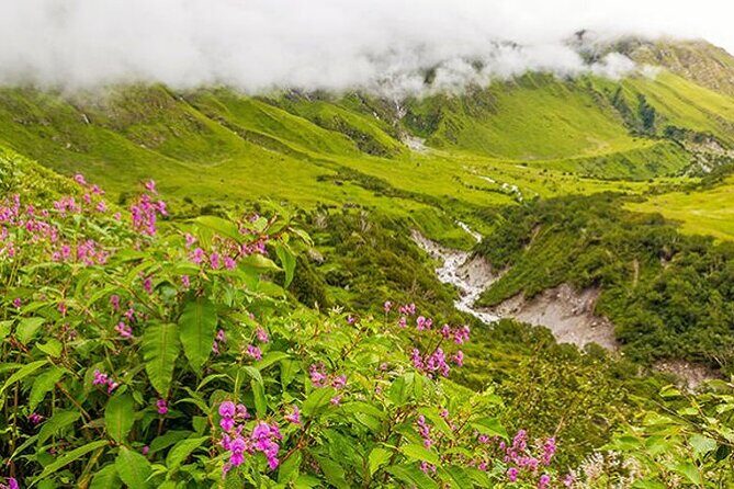 Valley of Flowers and Hemkund Trek- Banbanjara - Good To Know