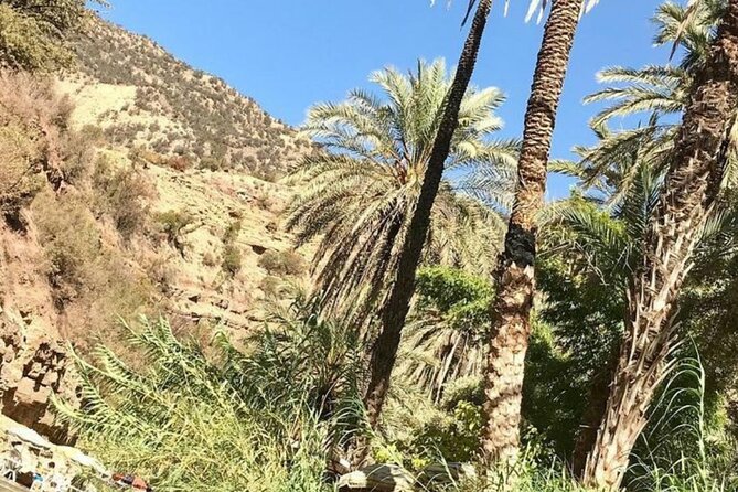 Valley of Paradise 1/2 Day Departure From Agadir and Taghazout - Departure Details