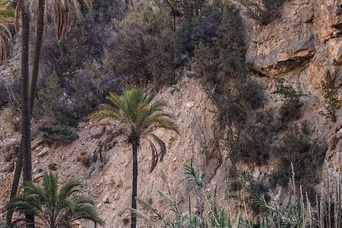 Valley of Paradise 1/2 Day Departure From Agadir and Taghazout - Additional Information