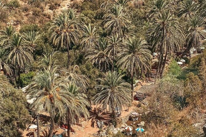 Valley of Paradise 1/2 Day Departure From Agadir and Taghazout - Common Questions