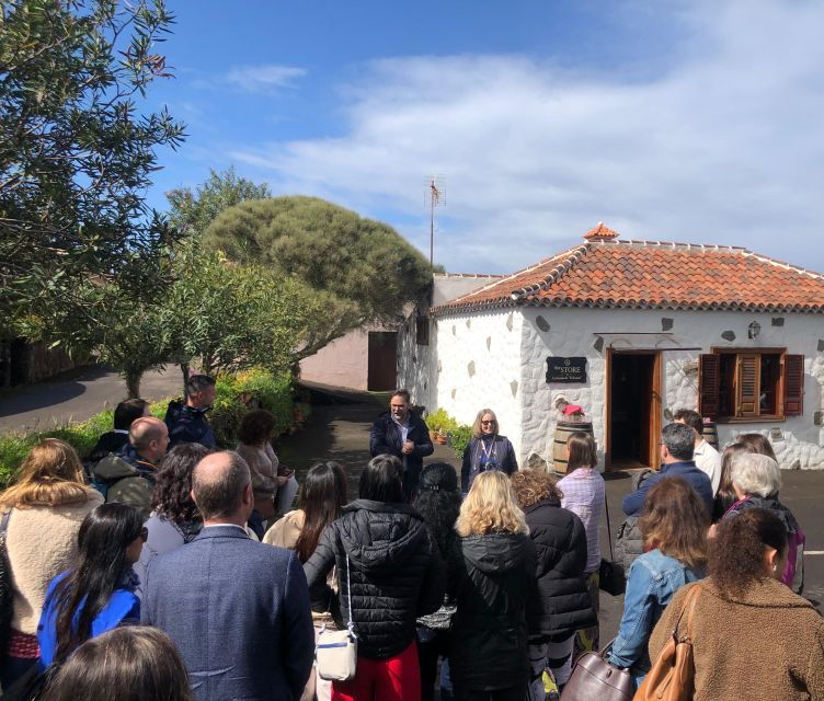 Valley of Tegueste: Wine Tour With Tasting at El Lomo Winery - Itinerary Highlights