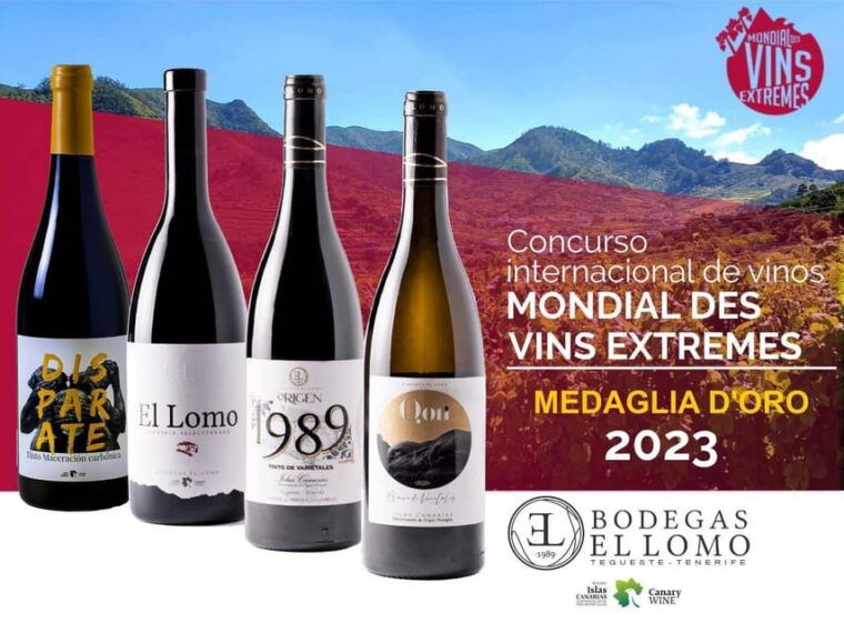 Valley of Tegueste: Wine Tour With Tasting at El Lomo Winery - Wine and Food Pairing