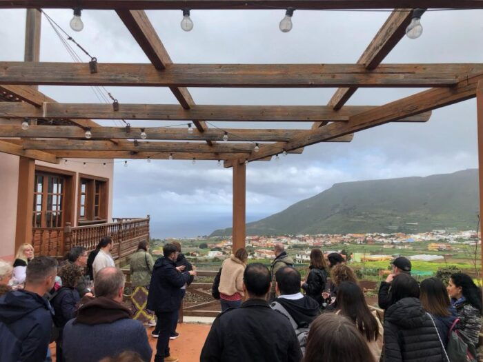 Valley of Tegueste: Wine Tour With Tasting at El Lomo Winery - Guided Tour Through Vineyards and Facilities