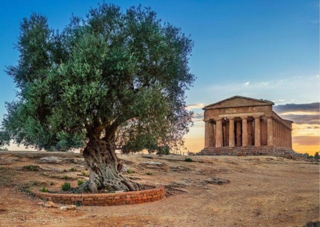 Valley of the Temples and Villa Romana Multi-Language Tour - Important Information