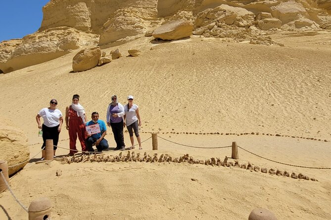 Valley of the Whales, Waterfalls, and Magic Lake With Lunch (Feb ) - Tour Highlights