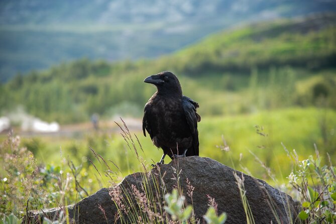 Valley of Thor Super-Truck Tour in Reykjavík - Terms & Conditions for a Seamless Experience