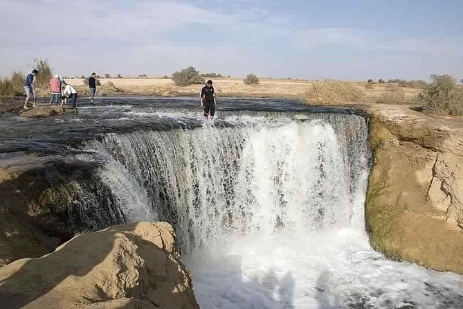 Valley of Whales & Al Fayoum by Jeep 4*4 - Private Desert Full Day Trek - Cairo - Highlights of Valley of Whales & Al Fayoum
