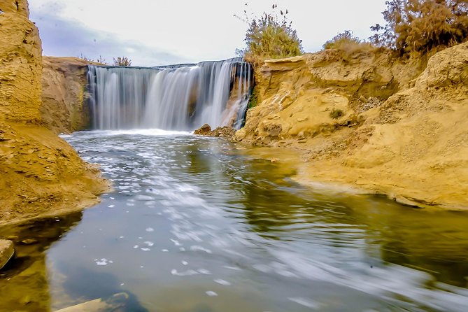 Valley of Whales and Wadi El Rayan Water Falls Day Tour From Cairo - Price and Booking Details
