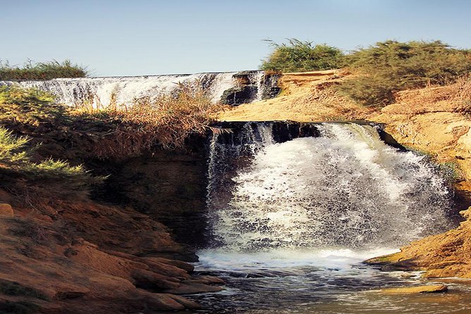 Valley of Whales and Wadi El Rayan Water Falls Day Tour From Cairo - Inclusions